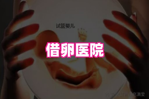 821孕网 2