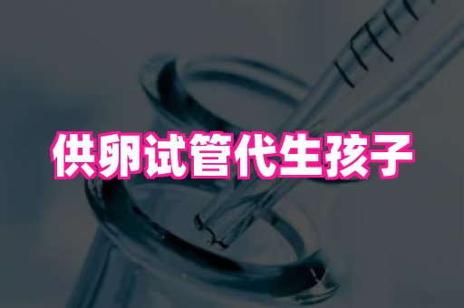821孕网 3